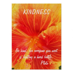 Kindness Inspirational Poster Quote Plato Hibiscus
