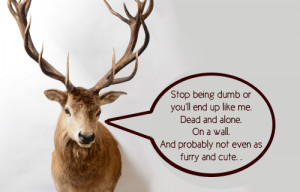 deer_FI.jpg