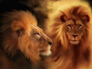 My Top Collection Cute lion pictures 2