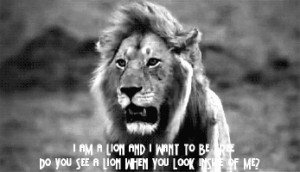 hollywood undead, lion, lyrics # hollywood undead # lion # lyrics