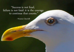Motivational Quote on failure is not fatal