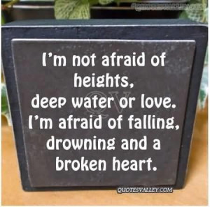 Im not afraid of heights quote