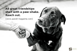 inspirational-dog-quotes-toronto-pet-photographer.jpg