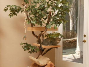 cat-tree-house-designs-inspiration-with-real-trees-furniture ...