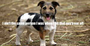 the craziest mike tyson quotes said by dogs from dog talk