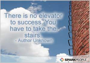 Motivational Quote - There is no elevator to success. You have to take ...