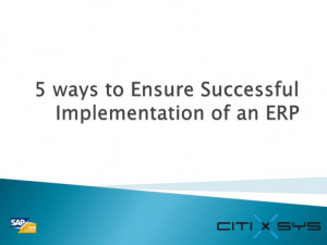ways to ensure successful implementation of an erp