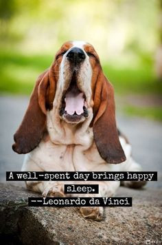 well-spent day brings happy sleep.