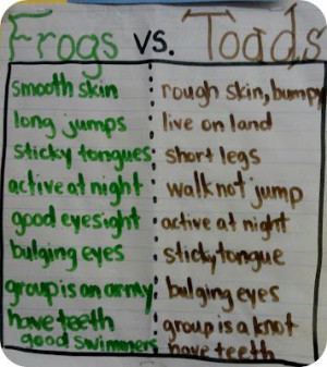 Frog and Toad facts anchor paper