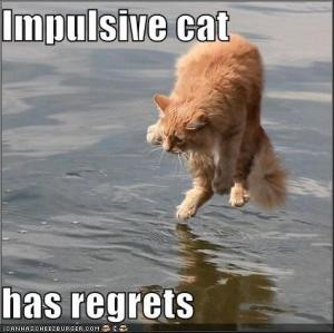 Why do cats sometimes act so crazy?