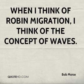 Bob Morse - When I think of robin migration, I think of the concept of ...