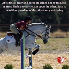 ... being. #motivation #horse #horses #equestrian #showjumping #eventing #