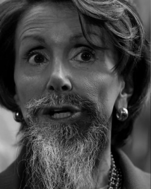 Barn Stall Owner #28