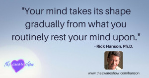 rick-hanson-quote-hardwiring-happiness-positive-mindset-quotes.png