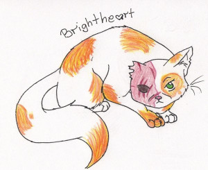 Brightheart:. by xBadgerclaw