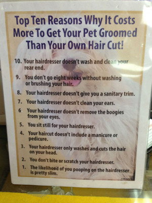 ... it costs you more to get your pet groomed than your own hair cut