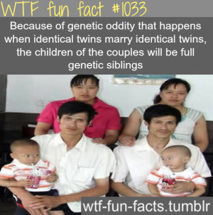 identical twins marry identical twins MORE OF WTF-FUN-FACTS are coming ...