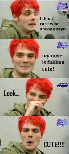 Cute Nose - my-chemical-romance Photo
