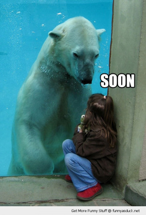 soon polar bear girl animal zoo funny pics pictures pic picture image ...