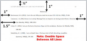 Essay Format Apa Citation