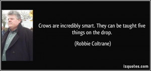 Crows are incredibly smart. They can be taught five things on the drop ...