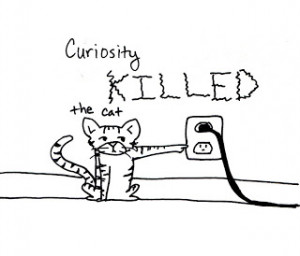 CuriosityKilled the Cat
