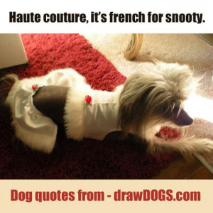 Cute Dog Best Friend Quotes more witty dog quotes