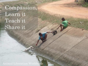 Compassion - We have a choice to live it, teach it, share it ...