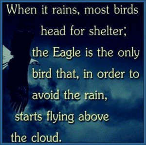 love this theory when the storm comes don t hide from it soar over ...