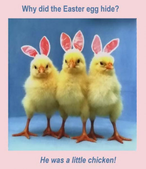 Happy Easter Funny Quotes,Eggs and Rabbits