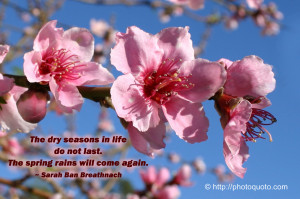 The Dry Seasons In Life Do Not Last. The Spring Rains Will Come Again ...