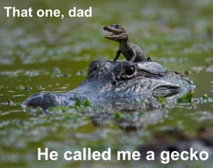That one dad – He called me a gecko – Crocodile