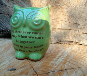 Owl Winnie the pooh quote on spring green friendship