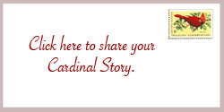 Quotes Birds Cardinals ~ Cardinal Superstitions