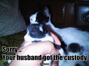 The father got the custody | Cats on Slapix.com