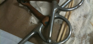 LitWits brings great books to life in sensory ways, so kids will want ...