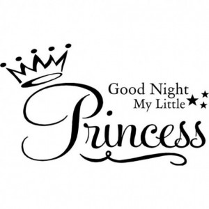 Goodnight My Little Princess