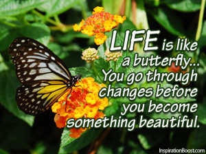 Life is like a butterfly… You go through changes before you become ...