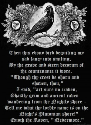 Crows Ravens: 