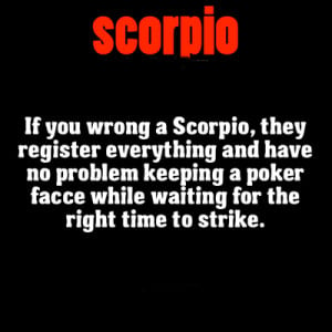 Scorpio Register Everything