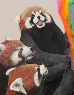 ... happiness Magic endangered gouache red panda Kozyndan Narwhal Gallery