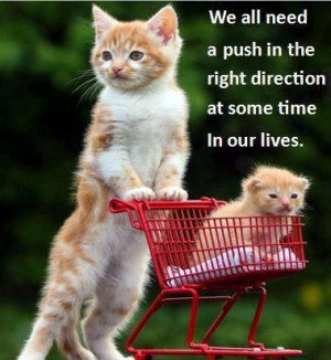 Push in the right direction