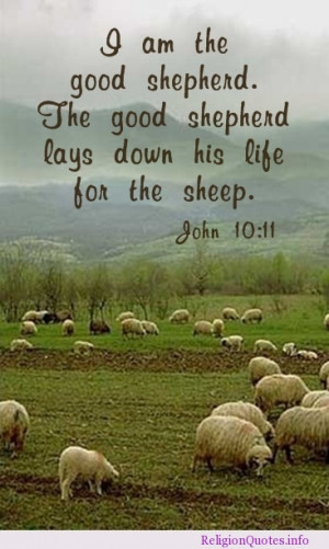 am the good shepherd. The good shepherd lays down his life for the ...