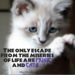 Page 1 of Quotes about cats- Inspirably.com
