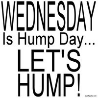 wednesday hump day photo: Hump Day Wednesday wednesday-13.jpg