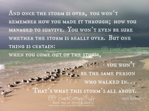 After the Storm *(Seagulls Seaside Inspirational Coastal Quote Once ...