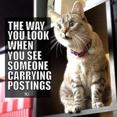 debate stuff forensics acting debate life forensics speech speech ...