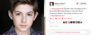 Mason Cook