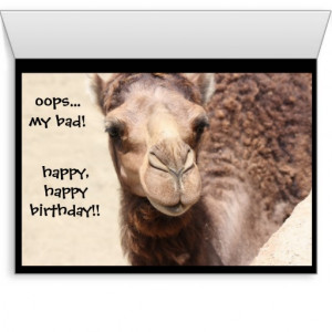 funny camel hump day birthday card 2 from zazzle com