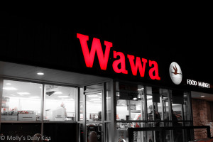 want to live near the Wawa, they are best convenience store EVER! I ...